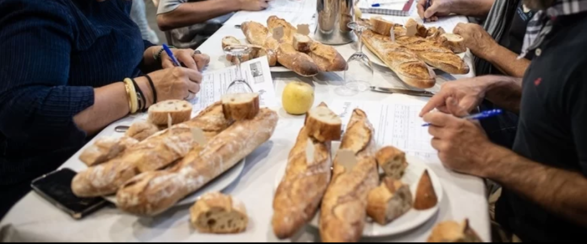 Lurrama distingue les meilleurs producteurs du Pays Basque 