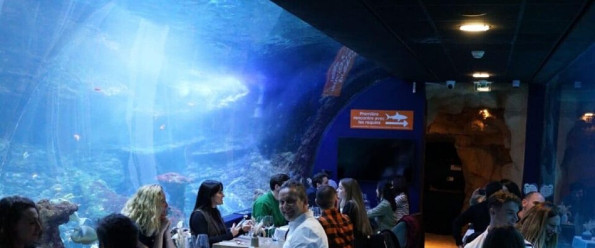 Une expérience romantique et originale pour la Saint Valentin