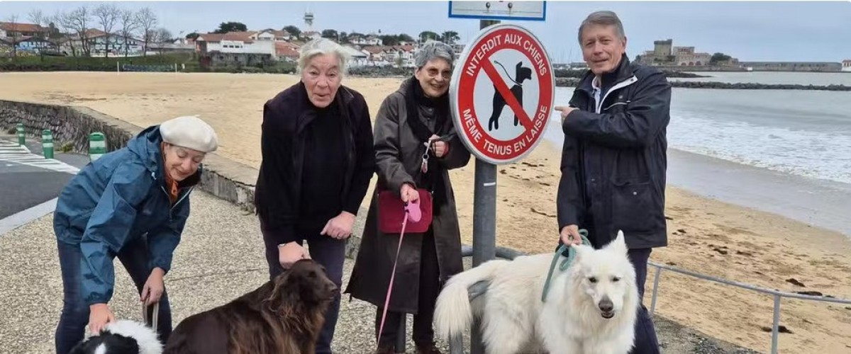 Une pétition pour demander le retour de leurs chiens sur la plage