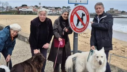 Une pétition pour demander le retour de leurs chiens sur la plage