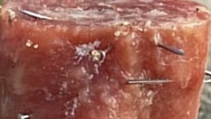 Alerte sur des morceaux de viande contenant des clous sur les plages.