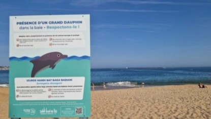 Gestes à adopter face à la dauphine de la baie de Saint-Jean-de-Luz.