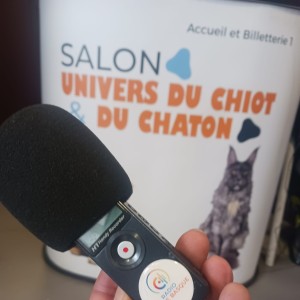 91 - Salon Univers du chiot et du chaton