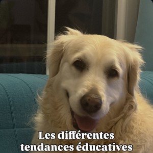 295 - Raphaëlle de Really Dog - chronique #7 - Les différentes tendances éducatives dans le monde du chien
